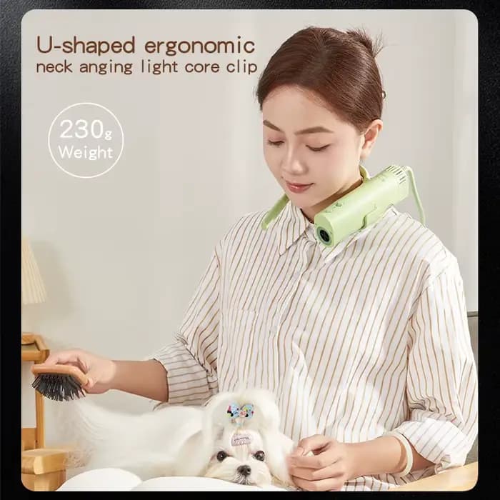 Sèche-cheveux de toilettage pour animaux de compagnie, haute puissance, silencieux, économie d'énerg