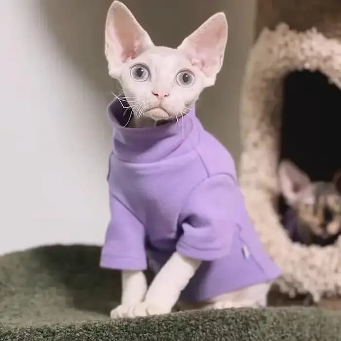 DUOMASUMI-Vêtements thermiques chauds auto-chauffants pour chat Sphynx, sous-vêtements sans poils, D