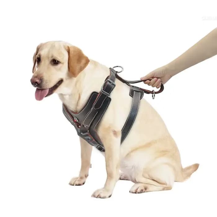 Harnais Durable pour chiens de grande taille, harnais en cuir véritable, gilet d'entraînement pour a