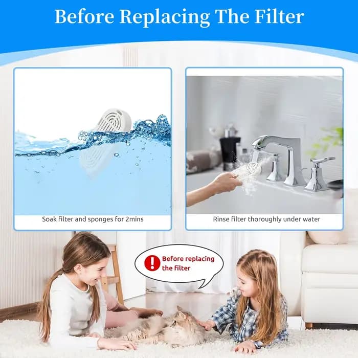 Filtre à charbon actif de remplacement pour fontaine à boire pour chien et chat, filtres remplacés p