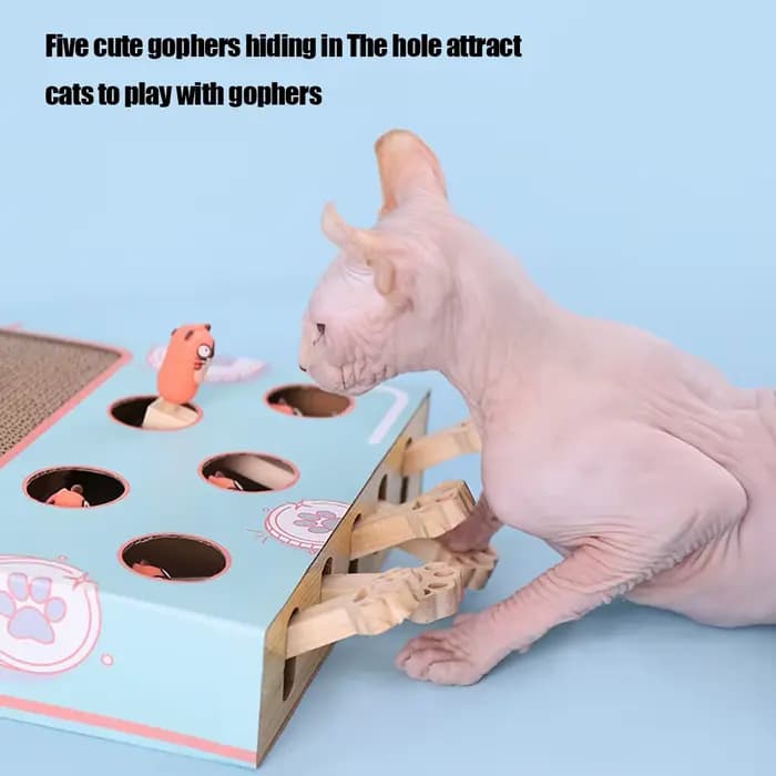 Boîte de jeu pour chat, labyrinthe interactif éducatif, frappé Gophers, bâton de chat drôle 3 en 1,