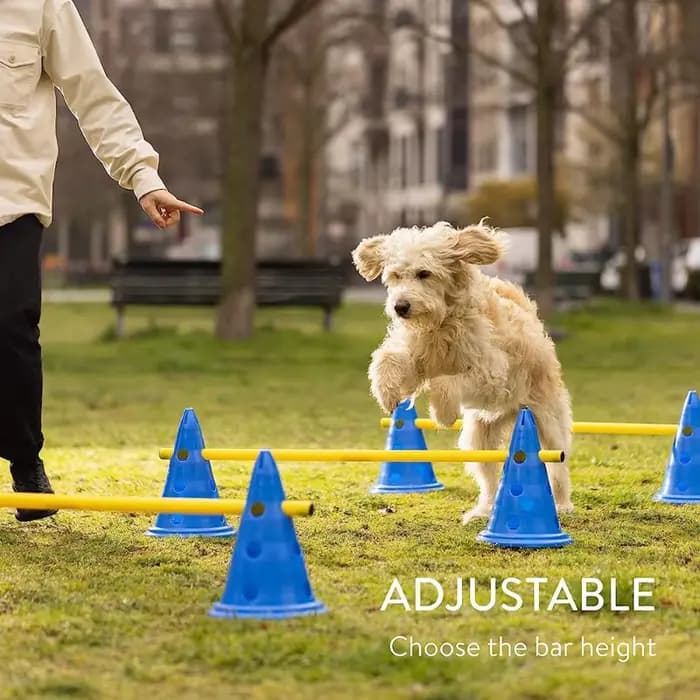 Ensemble d'entraînement d'agilité pour animaux de compagnie, barre de saut, équipement d'entraînemen