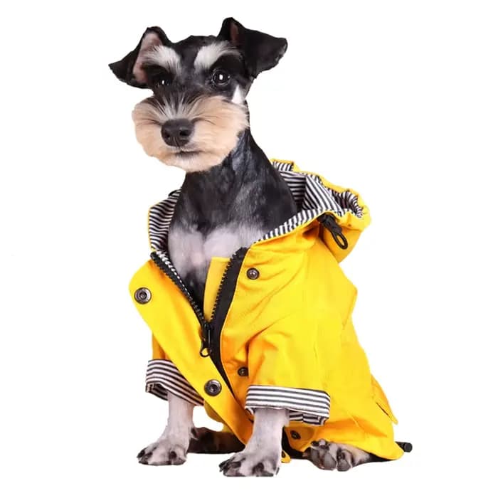 Grand chien vêtements imperméable chien imperméable veste coupe-vent pour animaux de compagnie Labra