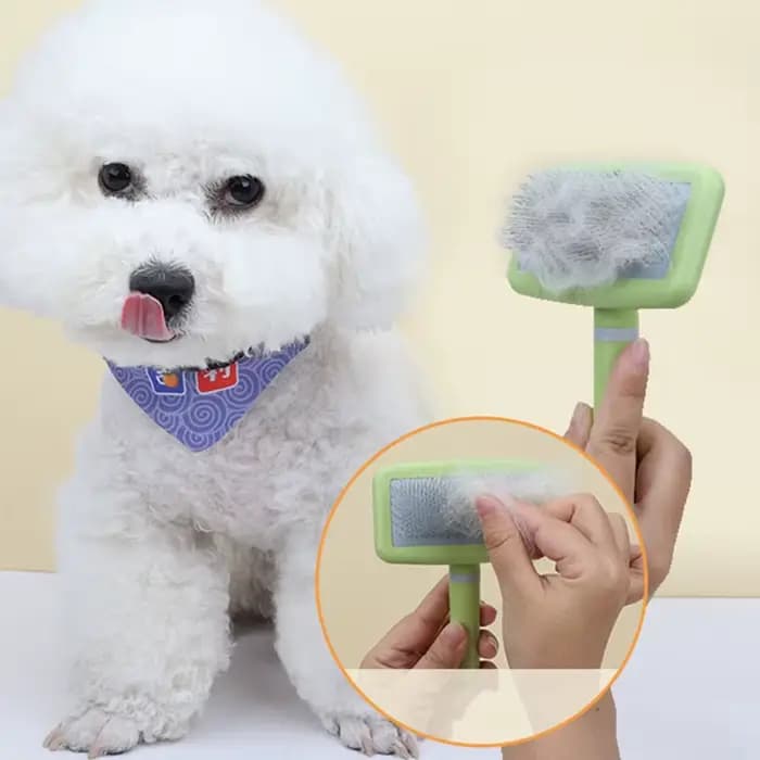 Brosse pour chien, épilateur de Massage pour animaux de compagnie, peignes pour chiens, toilettage p