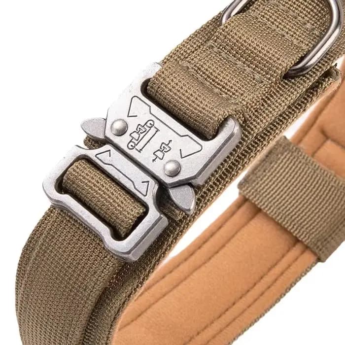 Ensemble de collier de chien durable réglable, laisse militaire pour animaux de compagnie, moyen et