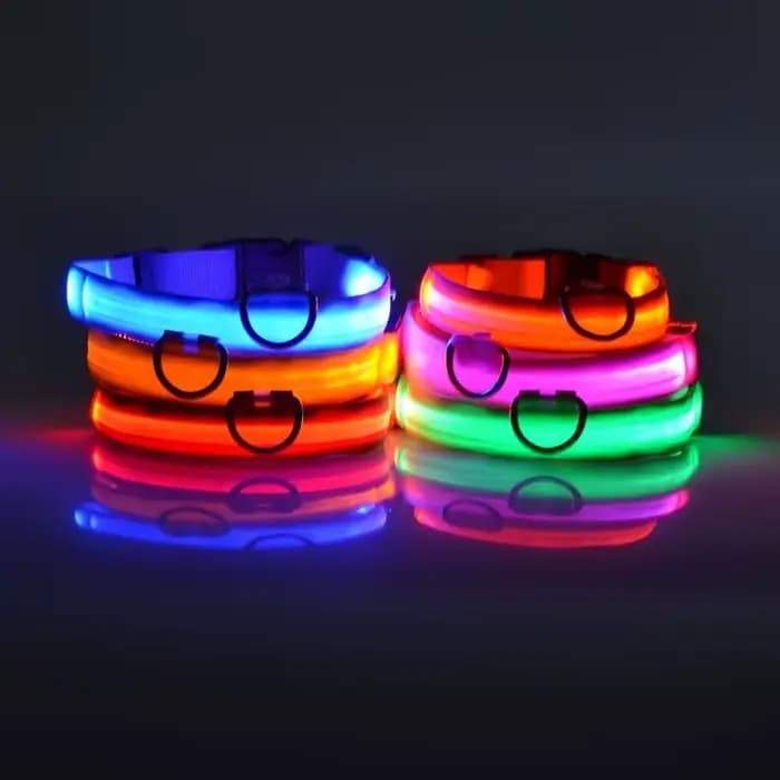 Laisse LED clignotante en nylon pour chien, sécurité nocturne, lueur dans le noir, collier de chien