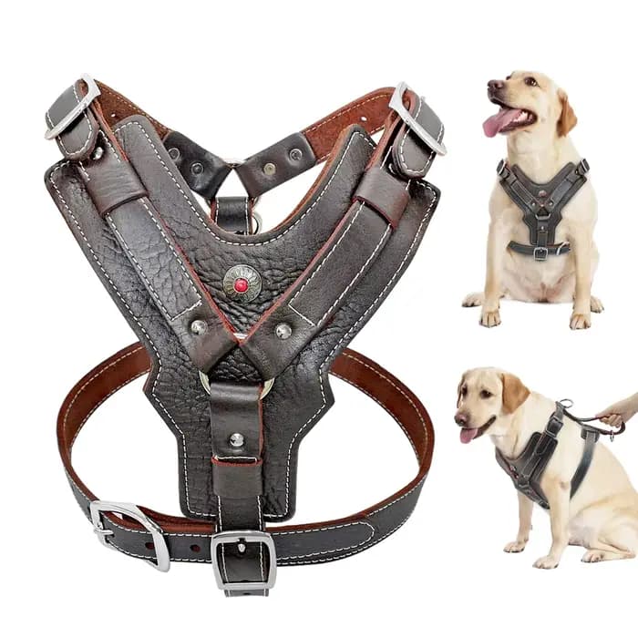 Harnais Durable pour chiens de grande taille, harnais en cuir véritable, gilet d'entraînement pour a