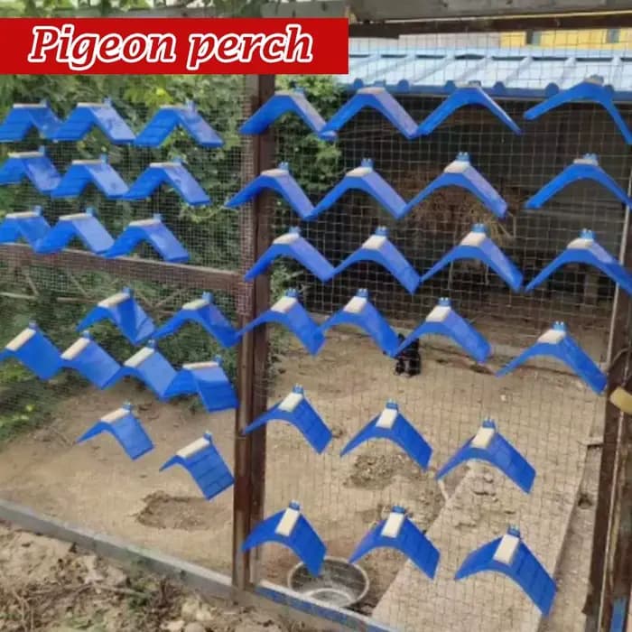Cadre de perchoirs pour Pigeon, 20 pièces, support de repos pour colombe, cadre pour oiseaux volanté