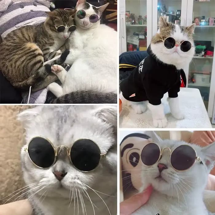 Jolies lunettes de soleil rondes Vintage pour animaux de compagnie, lunettes réfléchissantes pour pe