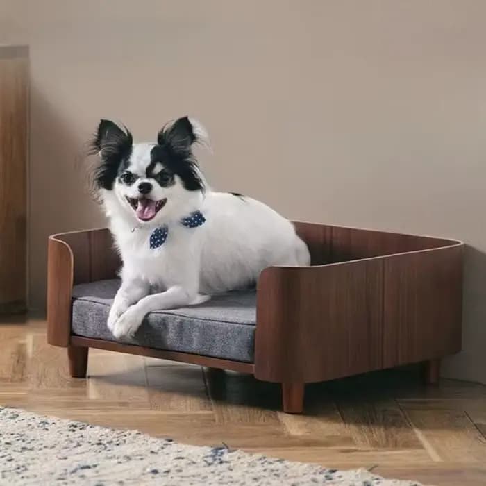 Lit pour chien et chat, chenil en bois, meubles d'intérieur pour animaux de compagnie, lit de plafon