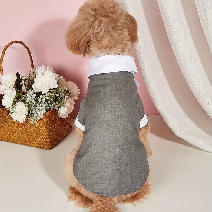 Chemise pour animaux de compagnie, vêtements pour petits chiens, Costume formel de mariage avec nœud