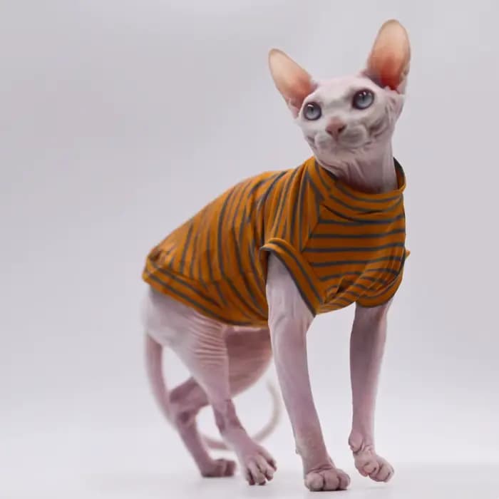 Vêtements d'été en coton respirant pour chat sans poils, glaçure fine pour Sphynx,Devon Rex ,Cornish