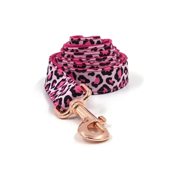 Collier de chien personnalisé colliers pour animaux de compagnie gravure gratuite ID plaque signalét