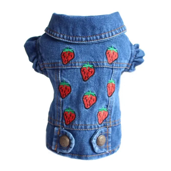 Veste de Cowboy élégante pour chien, vêtements de printemps en Denim pour chien, gilet pour chiot, C