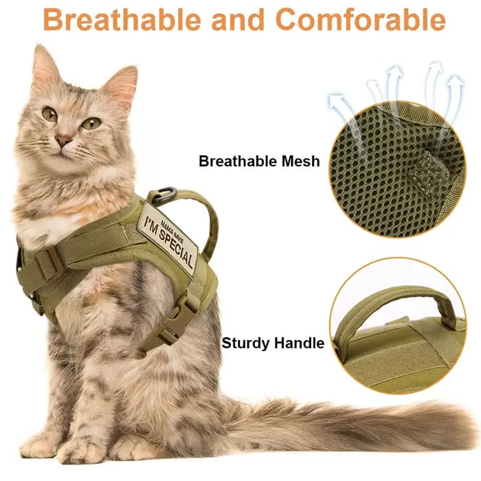 Harnais en Nylon pour chat, gilet avec 2 autocollants, harnais tactique militaire pour chats avec po