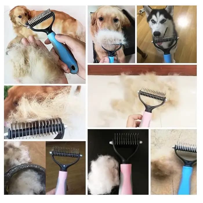 Brosse pour chien, peigne d'épilation double face et outil d'épilation utilisé pour enlever les tapi