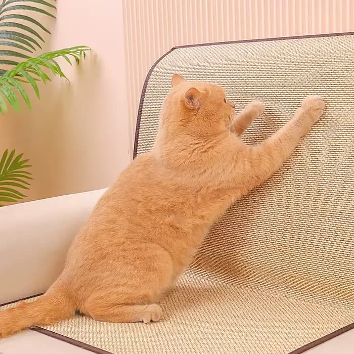 Tapis de protection contre les rayures pour chat, grattoir pour chat, arbre à gratter, tapis de cana