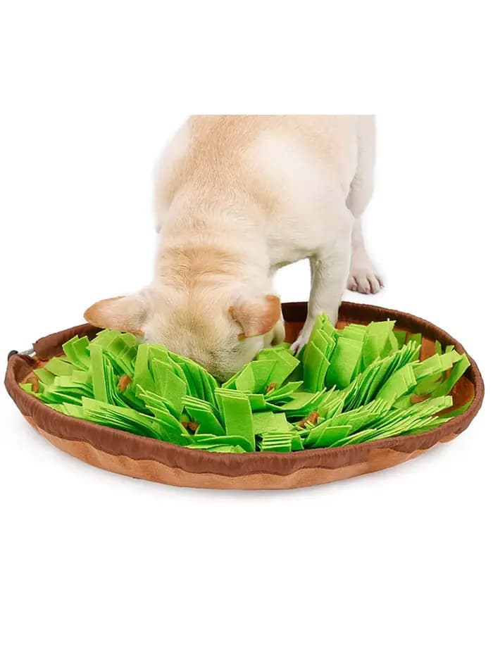 Polymères à renifler pour animaux de compagnie pour chiens, alimentation au nez, alimentation lente,