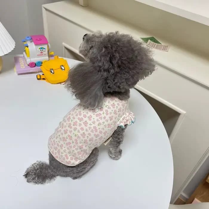 Gilet d'été pour chien, vêtements pour chiots, mignon, manches volantes florales, T-Shirt pour chien