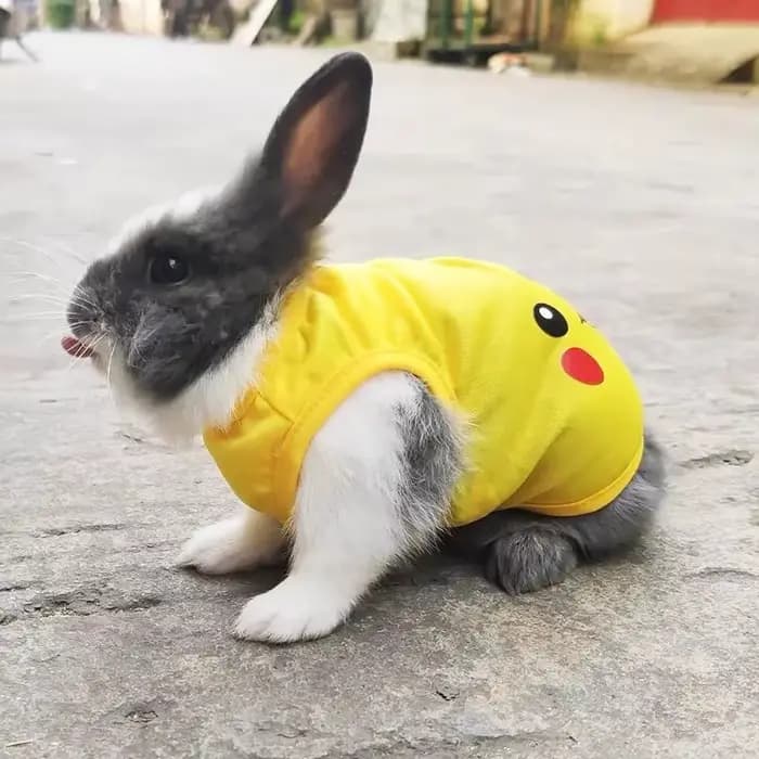 Gilet pour animaux de compagnie pour lapin chats été respirant lapins vêtements antiadhésif cheveux