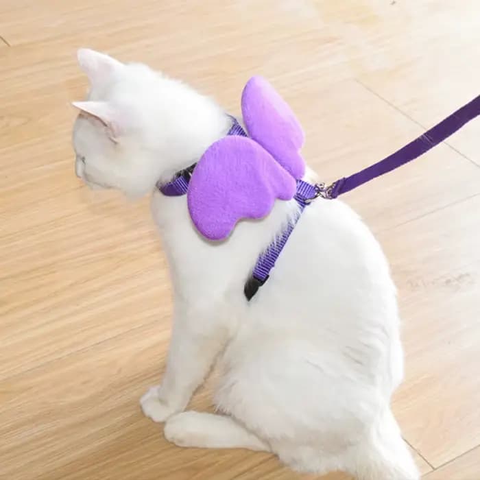 Ensemble harnais et laisse ailes d'ange pour animaux de compagnie, pour chats, chiots, lapin, mignon