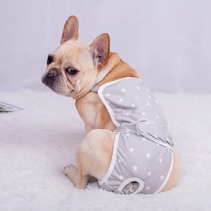 Couche-culotte en coton lavable pour animaux de compagnie, sous-vêtement pour chien femelle et chiot
