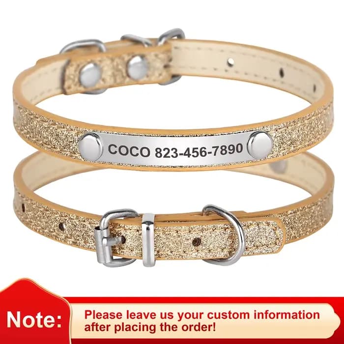 Collier d'identification Anti-perte pour chat, collier personnalisé pour chiot et chat, étiquette de