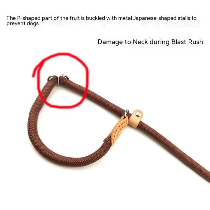Harnais de collier réglable, laisse pour chien, laisse en Nylon pour animaux de compagnie, ceinture