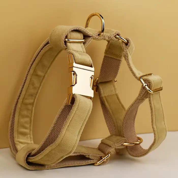 Harnais pour chien robuste en métal de haute qualité, laisse pour harnais pour chien, bricolage