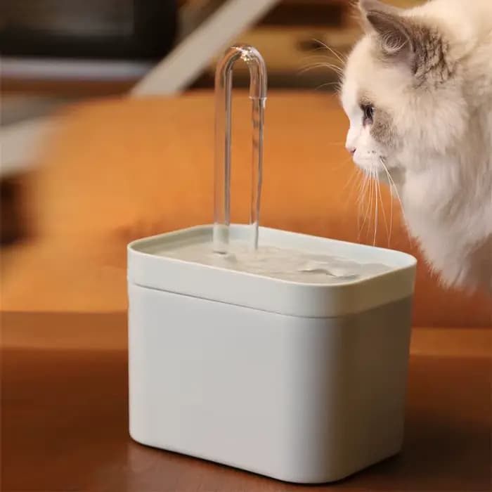 Filtre de fontaine d'eau Ultra silencieux pour chat, distributeur d'eau automatique intelligent pour