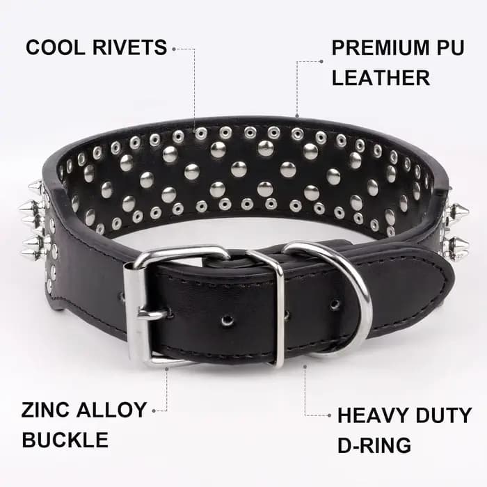 Collier de chien en cuir clouté à pointes de crâne pour chiens de taille moyenne et grande bouledogu