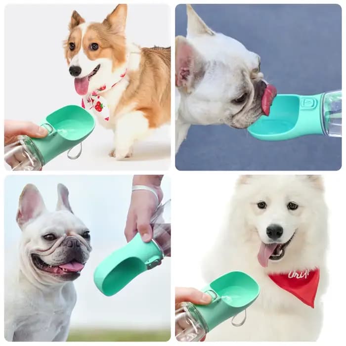Bouteille d'eau Portable pour chien, pour petits et grands chiens, chat, extérieur, étanche, bols à