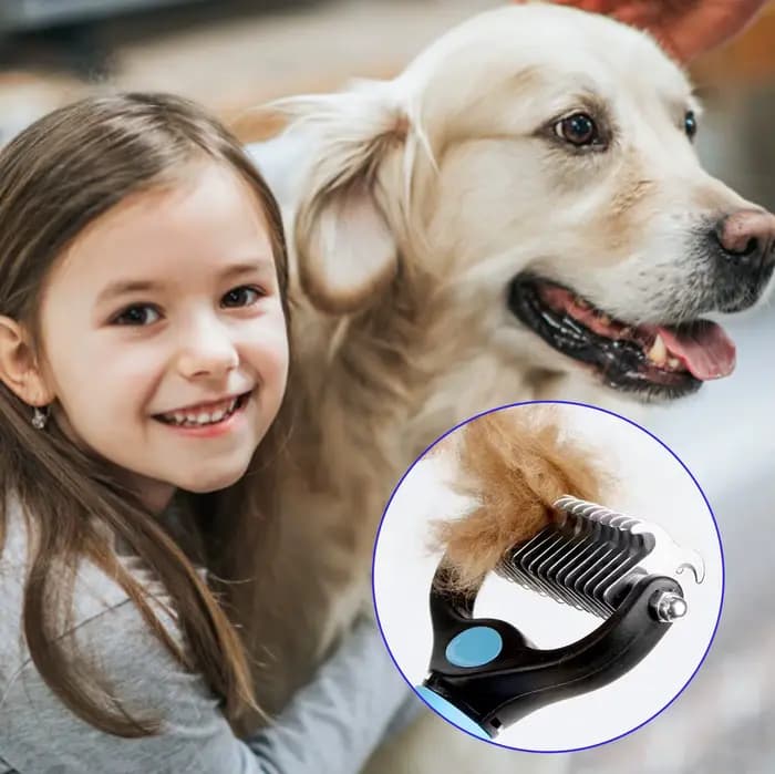 Brosse professionnelle pour démêlage des animaux de compagnie, épilateur de poils de chien, coupe-no