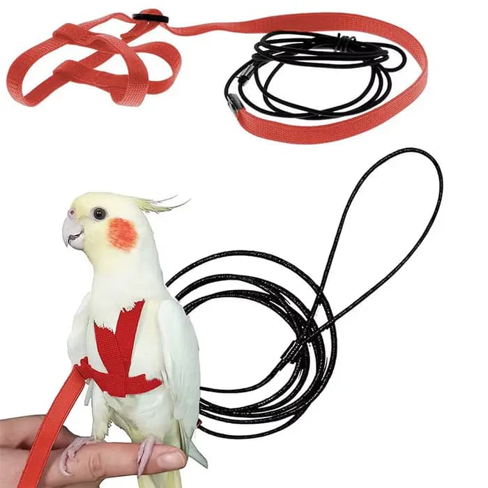 Corde de Traction Volante d'Entraînement Anti-Morsure, Laisse d'Oiseau, Perroquet, SFP