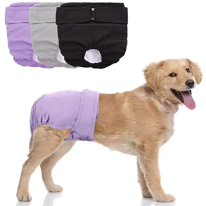 Couches réutilisables pour chiens féminins, couches à haute absorption pour chiots, culottes réglabl