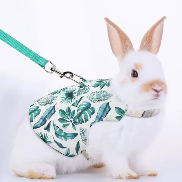 Poitrine et dos College pour animaux de compagnie, respirant, lapin, usage extérieur, un ensemble