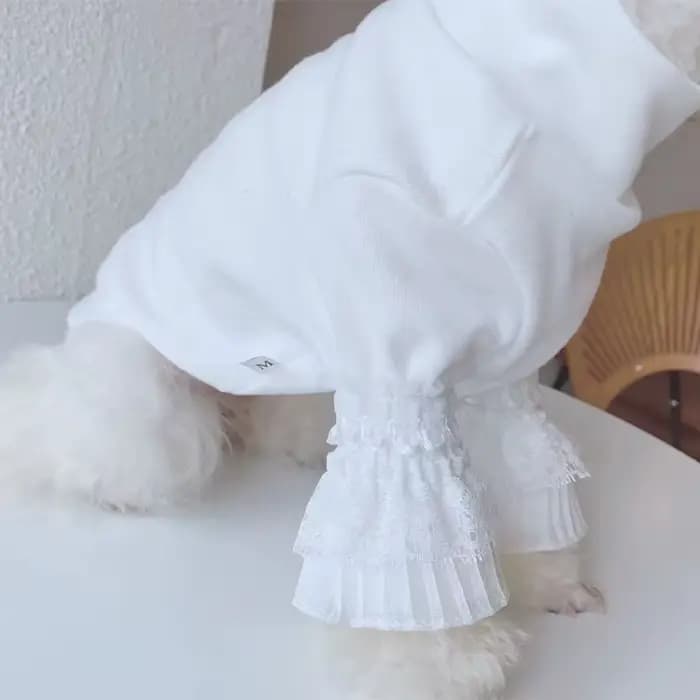 Chien pur blanc chemise à bascule vêtements pour animaux de compagnie blanc chiot chat Teddy printem