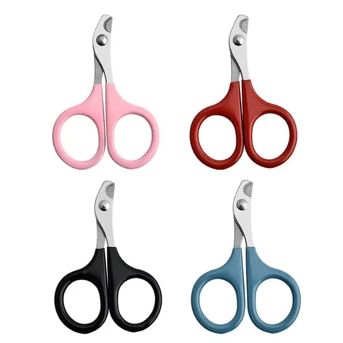 Ciseaux à ongles professionnels pour chat, coupe-ongles pour chien, coupe-ongles pour orteils, fourn