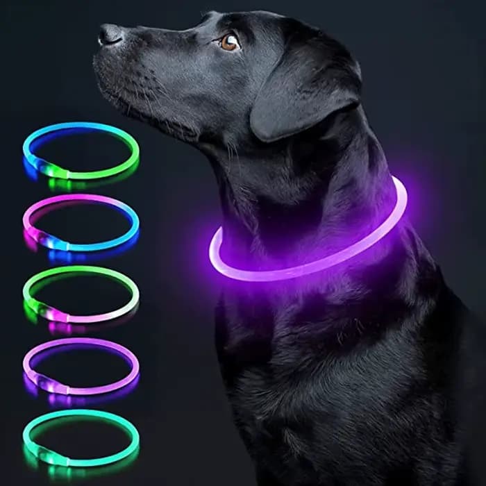 Collier de chien lumineux Led, collier de chargement USB, clignotant, bricolage, sécurité lumineuse,