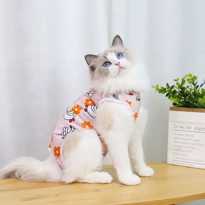 Combinaison de stérilisation pour chat, combinaison pour petits chiens et chats, vêtements de récupé