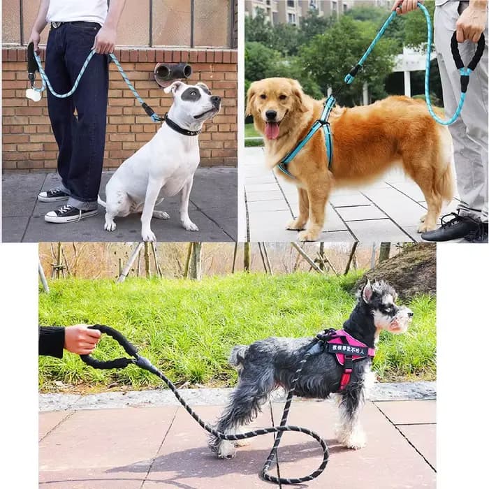 Laisse solide pour chien 150/200/300cm, laisse réfléchissante pour animaux de compagnie, pour grands