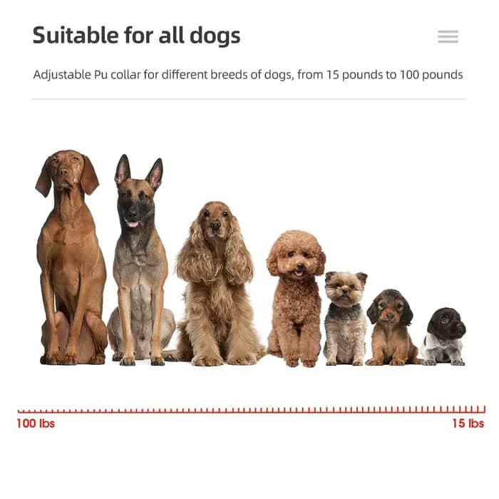 Collier d'Entraînement pour Chien, Étanche, Rechargeable, 1000m, Télécommande, Choc Électrique avec