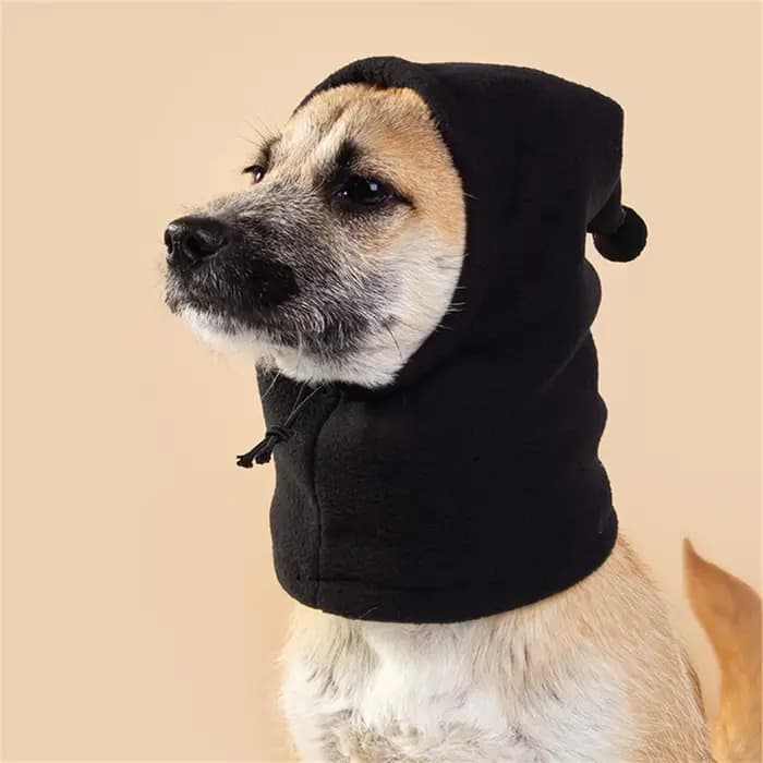 Chapeau polaire à col haut pour chien, accessoires d'hiver pour animaux de compagnie, coupe-vent, ch