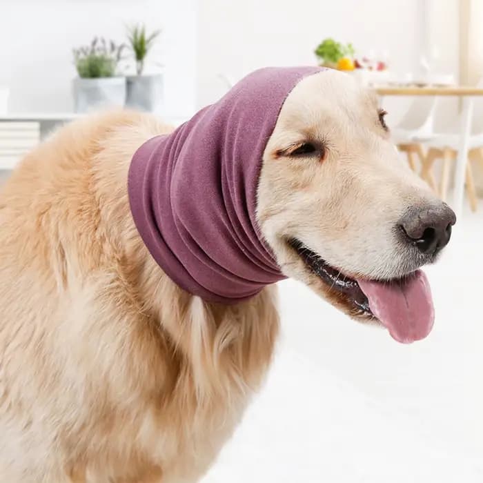 Protège-oreilles pour animaux de compagnie, protège les oreilles des chats et des chiens, anti-anlan
