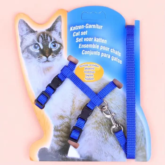 Ensemble Harnais et Laisse pour Chaton, Anti-Évasion, Réglable, en Nylon, Collier Harnais pour Chats