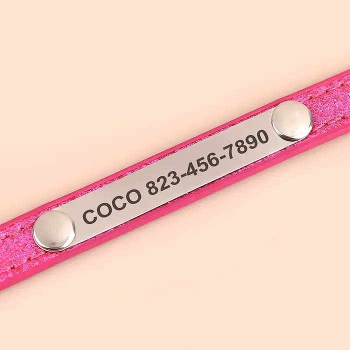 Collier d'identification Anti-perte pour chat, collier personnalisé pour chiot et chat, étiquette de