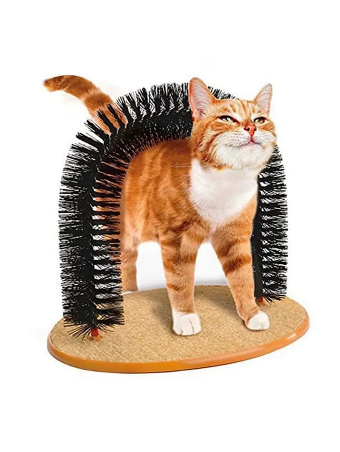 Jouet à gratter irrésistible pour chat - Beauté à domicile : gâter votre chat avec des brosses de ma