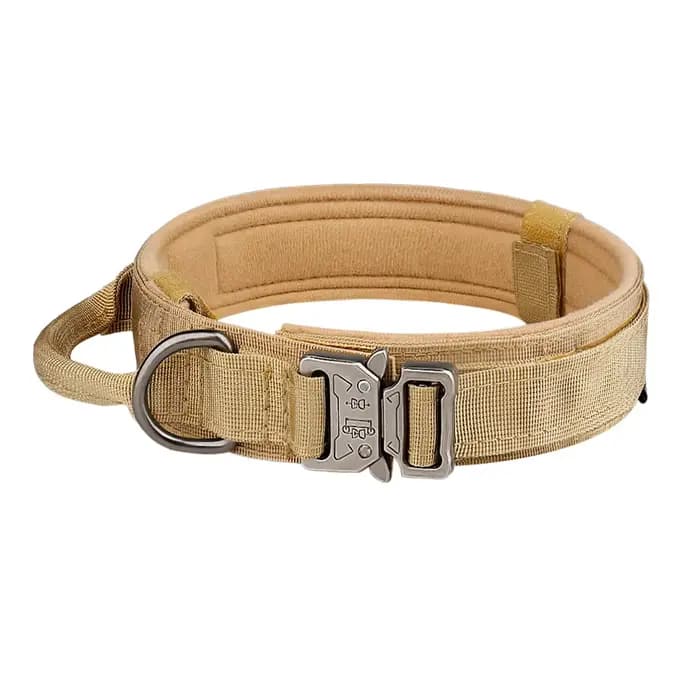 Produits pour animaux de compagnie collier tactique pour chien en plein air boucle en métal respiran