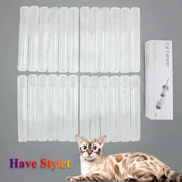 Cathéter urinaire pour chat avec stylet 3Fr 4Fr Consommables vétérinaires