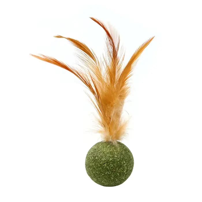 Sucette collée en herbe-aux-chats, Nutrition saine, fournitures pour chats, menthe sur le mur, boule